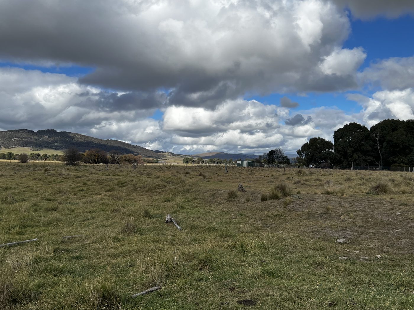 Open grassland survey landscape in the capital region